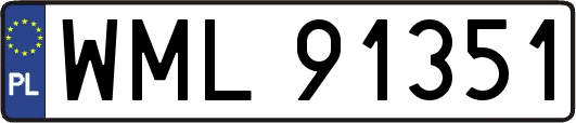 WML91351