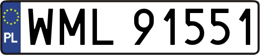 WML91551