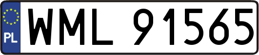WML91565