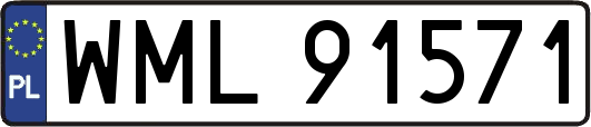 WML91571
