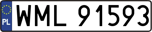 WML91593
