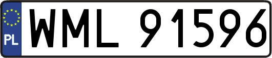 WML91596