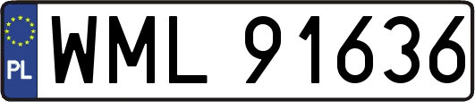 WML91636