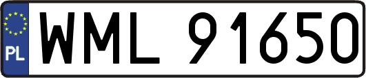 WML91650