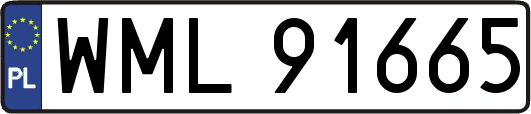 WML91665