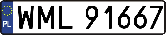 WML91667