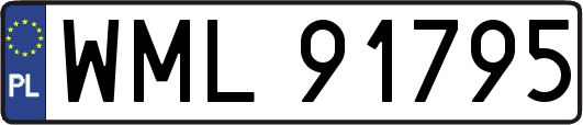 WML91795