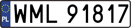 WML91817