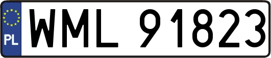 WML91823