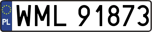 WML91873