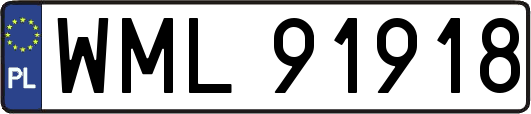 WML91918