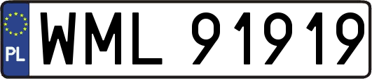 WML91919