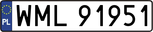 WML91951