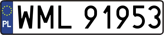 WML91953