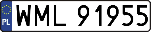 WML91955