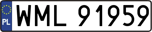 WML91959