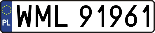 WML91961
