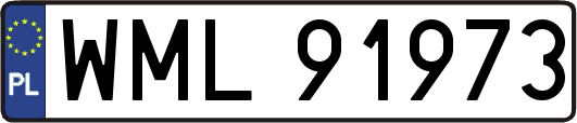 WML91973
