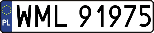 WML91975