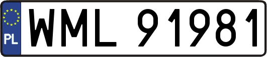 WML91981