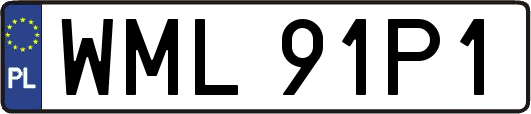 WML91P1