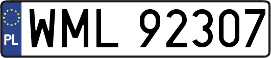 WML92307