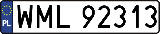 WML92313