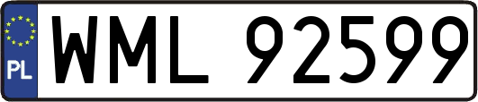 WML92599