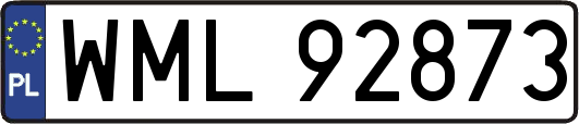 WML92873
