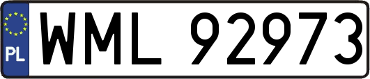 WML92973