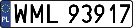 WML93917