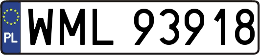 WML93918