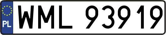 WML93919