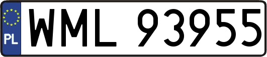 WML93955