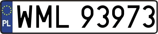 WML93973