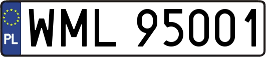 WML95001