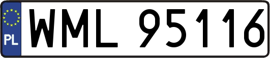 WML95116