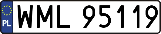 WML95119