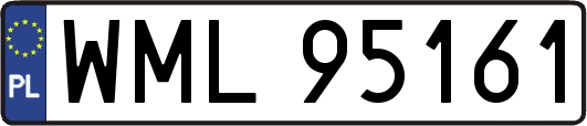 WML95161