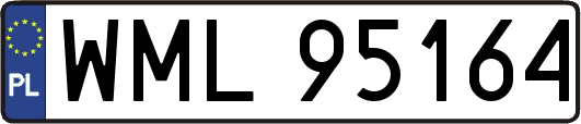 WML95164