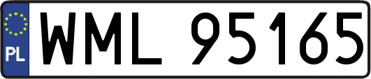 WML95165