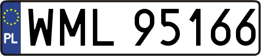 WML95166