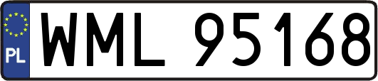 WML95168