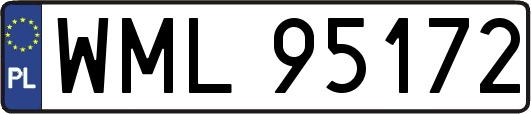 WML95172