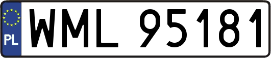 WML95181