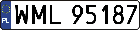 WML95187