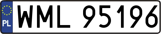 WML95196