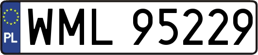 WML95229