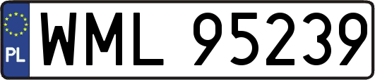 WML95239