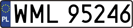 WML95246